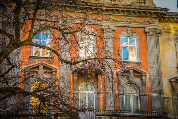 Muhteşem Kış Lviv Mimarisi Sokakları — Stok fotoğraf