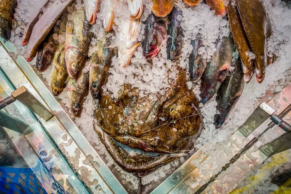 Pescado Fresco Mariscos Sobre Hielo Mercado —  Fotos de Stock