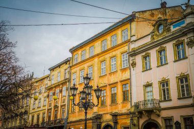 Muhteşem kış Lviv mimarisi ve sokakları