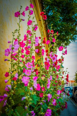 Kopenhag 'ın muhteşem mimarisi