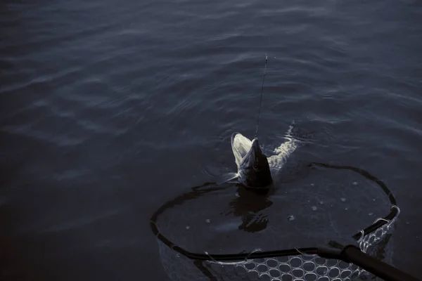 Pike Fishing Lake — Stock Photo, Image