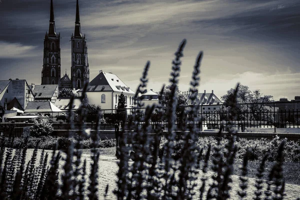 아름다운 브로츨라프의 교회들 여행의 — 스톡 사진