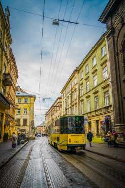 Muhteşem kış Lviv mimarisi ve sokakları
