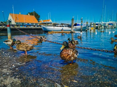 Büyük Danimarka, Kopenhag ve deniz