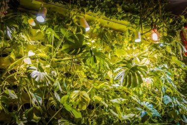 İç kısımda taze çiçekler var.