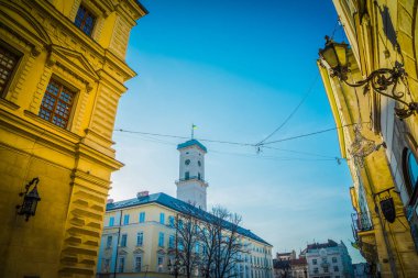 Muhteşem kış Lviv mimarisi ve sokakları