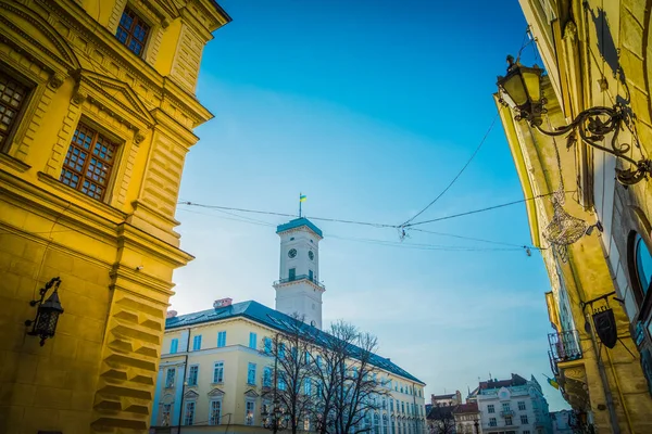 Magnifik Vinter Lviv Arkitektur Och Gator — Stockfoto