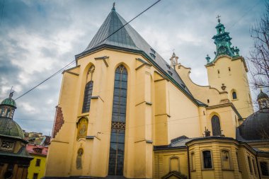 Muhteşem kış Lviv mimarisi ve sokakları