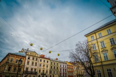 Muhteşem kış Lviv mimarisi ve sokakları