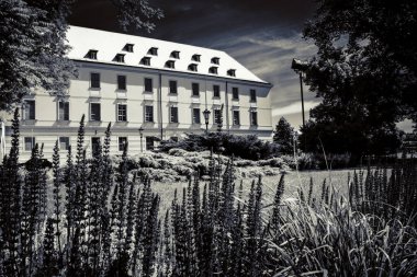 Wroclaw 'ın güzel kiliseleri. Çekicilik, Avrupa 'da seyahat