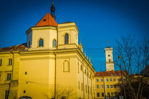Magnífico Invierno Lviv Arquitectura Calles — Foto de Stock