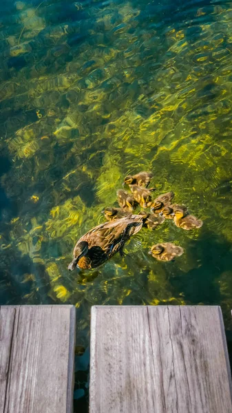 Krásná Mořská Vesnice Dánsku — Stock fotografie