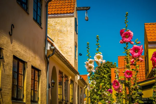 Vacker Dansk Arkitektur Pittoresk — Stockfoto