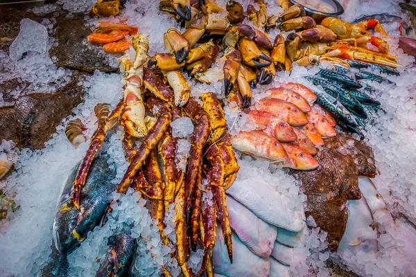 Fresh Fish Seafood Ice Market — Stock Photo, Image