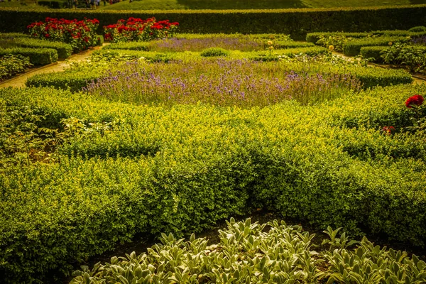 Vackert Rosenborgs Slott Köpenhamn — Stockfoto