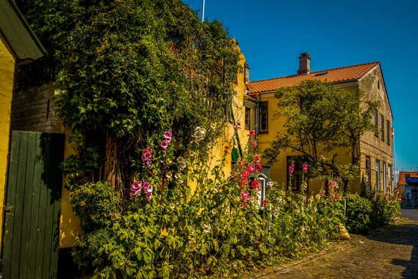 Hermosa Arquitectura Danesa Pintoresco Pueblo — Foto de Stock