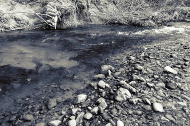 Dağların ve nehirlerin güzel doğası