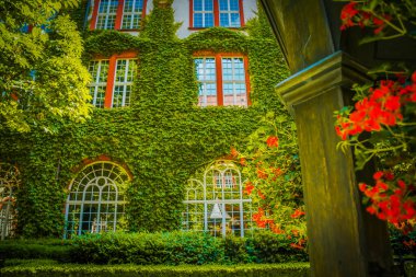 Eski Polonya şehrinin mimarisi. Pençe