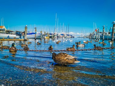 Büyük Danimarka, Kopenhag ve deniz