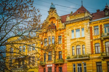 Muhteşem kış Lviv mimarisi ve sokakları