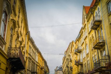 Muhteşem kış Lviv mimarisi ve sokakları