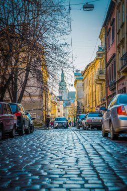 Muhteşem kış Lviv mimarisi ve sokakları