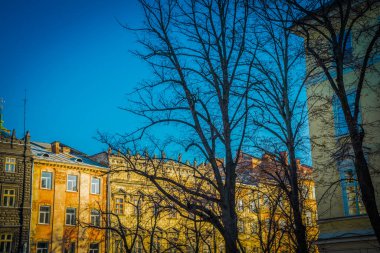 Muhteşem kış Lviv mimarisi ve sokakları