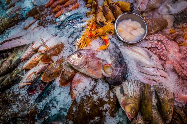 Pescado Fresco Mariscos Sobre Hielo Mercado —  Fotos de Stock