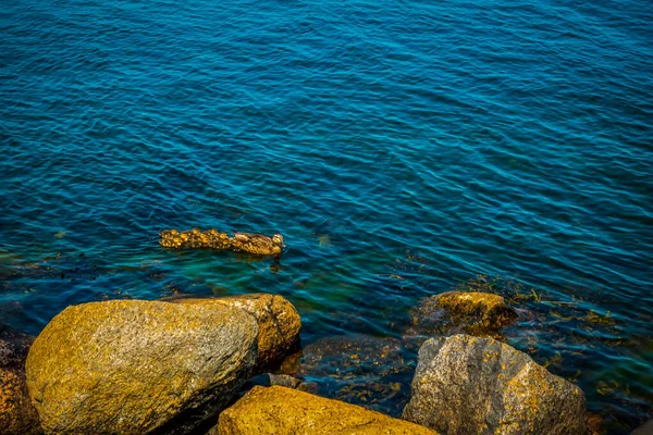 Hermoso Puerto Danés Con Yates — Foto de Stock