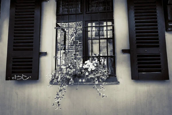 Schöne Fensterläden Mit Blumen Auf Der Straße — Stockfoto