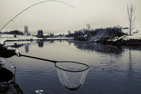 Pesca Truta Lago — Fotografia de Stock