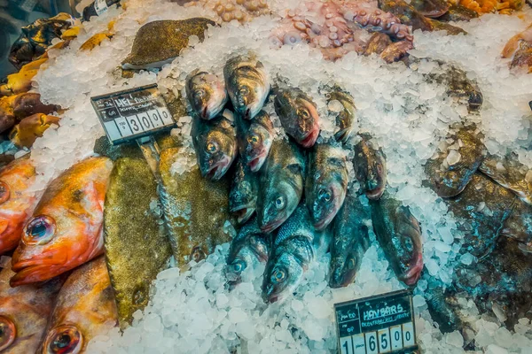 Pescado Fresco Mariscos Sobre Hielo Mercado — Foto de Stock
