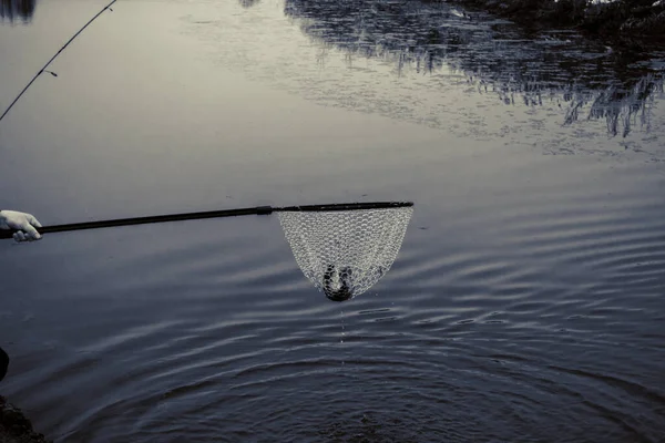 Pesca Alla Trota Sul Lago — Foto Stock