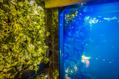 İç kısımda taze çiçekler var.