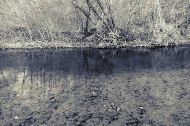 Dağların ve nehirlerin güzel doğası