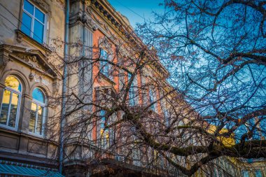 Muhteşem kış Lviv mimarisi ve sokakları