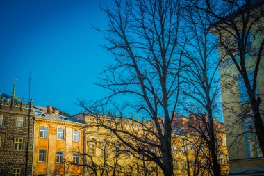 Muhteşem kış Lviv mimarisi ve sokakları