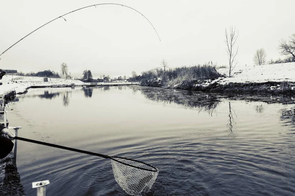 Pesca Truta Lago — Fotografia de Stock
