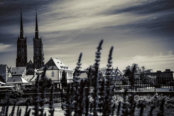 Lindas Igrejas Wroclaw Atrações Viajar Para Europa — Fotografia de Stock