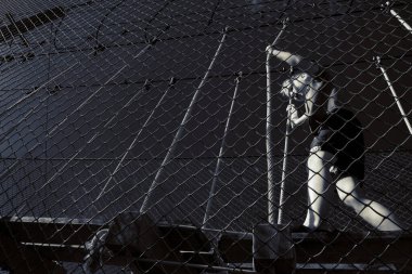 Çocuk ip parkında oynuyor.