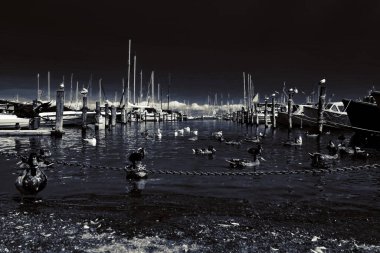 Büyük Danimarka, Kopenhag ve deniz