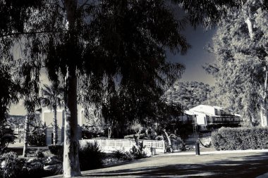 Güzel tatil beldesi. Yeşil ve çiçekler