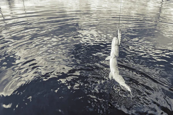 Pesca Riposo Campagna Contesto Sul Tema Della Ricreazione — Foto Stock