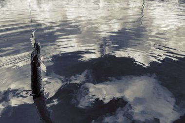 Balıkçılık, köy dinlenmesi. Rekreasyon temasının arkaplanı