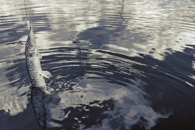 Balıkçılık, köy dinlenmesi. Rekreasyon temasının arkaplanı