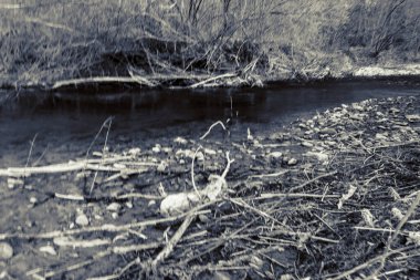 Dağların ve nehirlerin güzel doğası