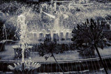 Kopenhag 'daki güzel park ve bahçe. Çekim