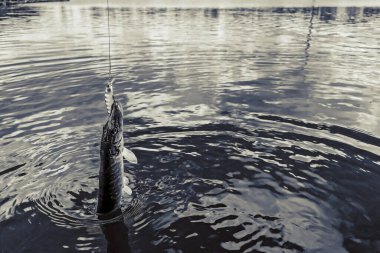 Balıkçılık, köy dinlenmesi. Rekreasyon temasının arkaplanı