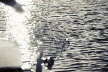 Gölde alabalık avı