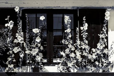 Resimli bir köyde güzel bir Danimarka mimarisi